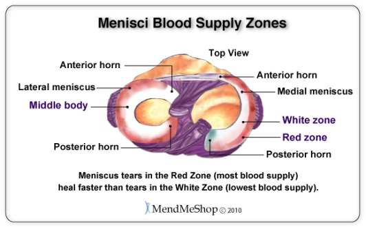 Meniscus tear blood supply zones