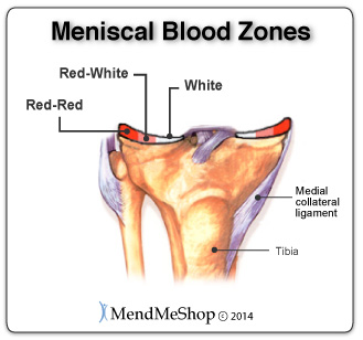The center of the medial meniscus receives very little blood flow.